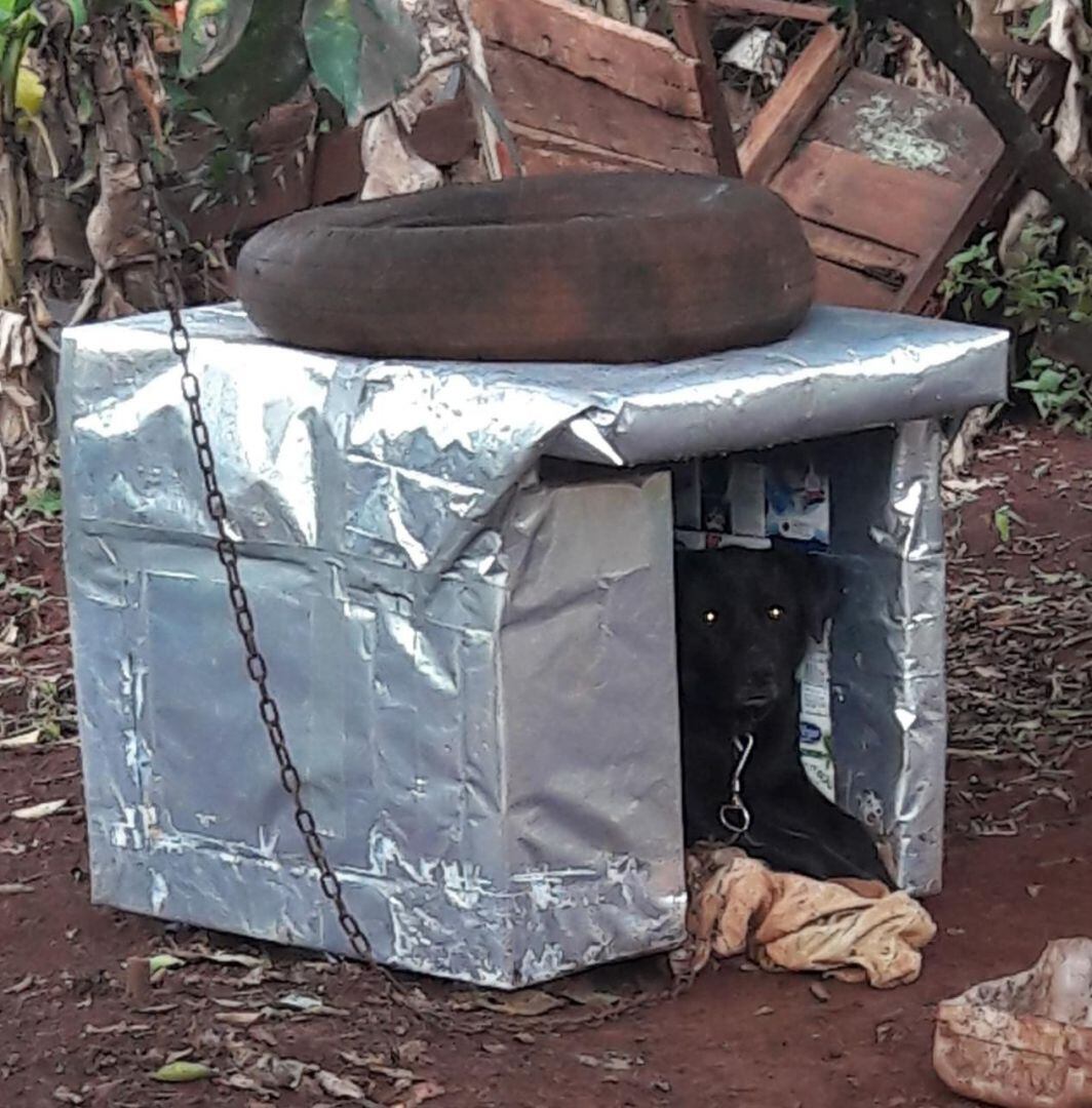 Casita fabricada con cajas de leche.