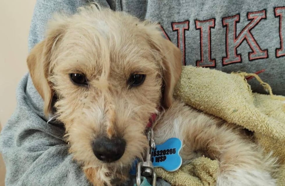 LFG5PE3EQZBUDF3VRCYHNVSWBE