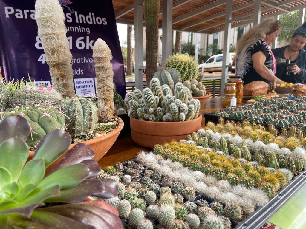 Presentaron propuestas turísticas en la Plazoleta Güemes de Oberá.