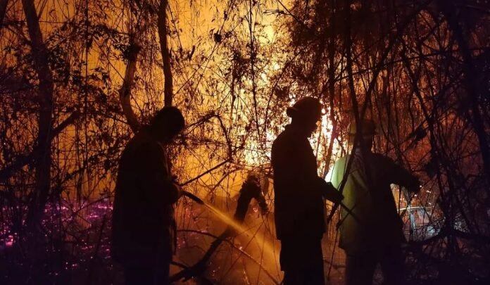 Bomberos Voluntarios y de la Policía erradicaron varios focos en la zona centro provincial.