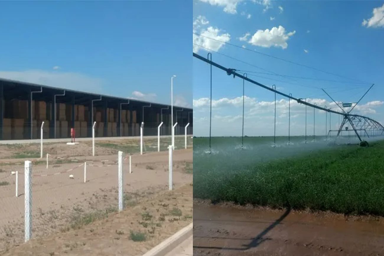 Denuncian a la empresa saudí que produce alfalfa en Córdoba.