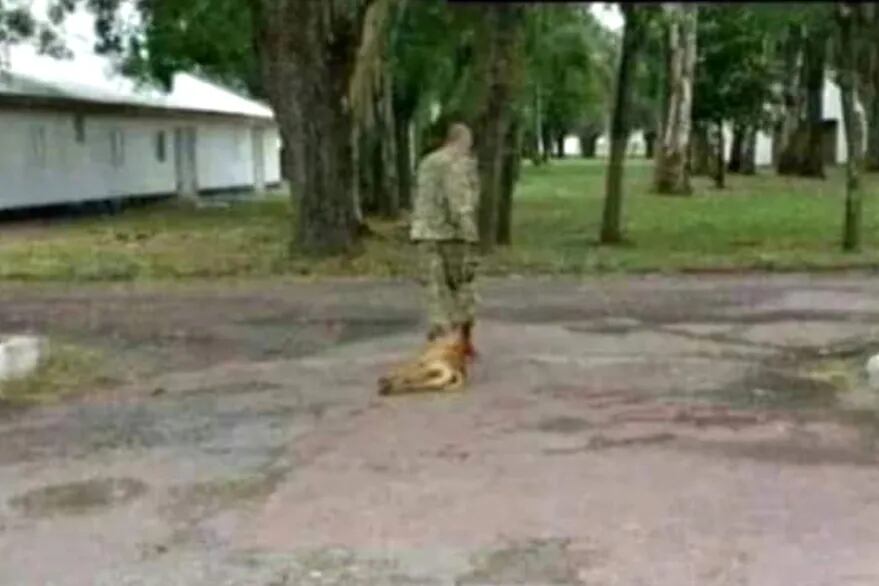 Una de las fotos sumada a la causa, que lo muestra a Orellana torturando al perro.