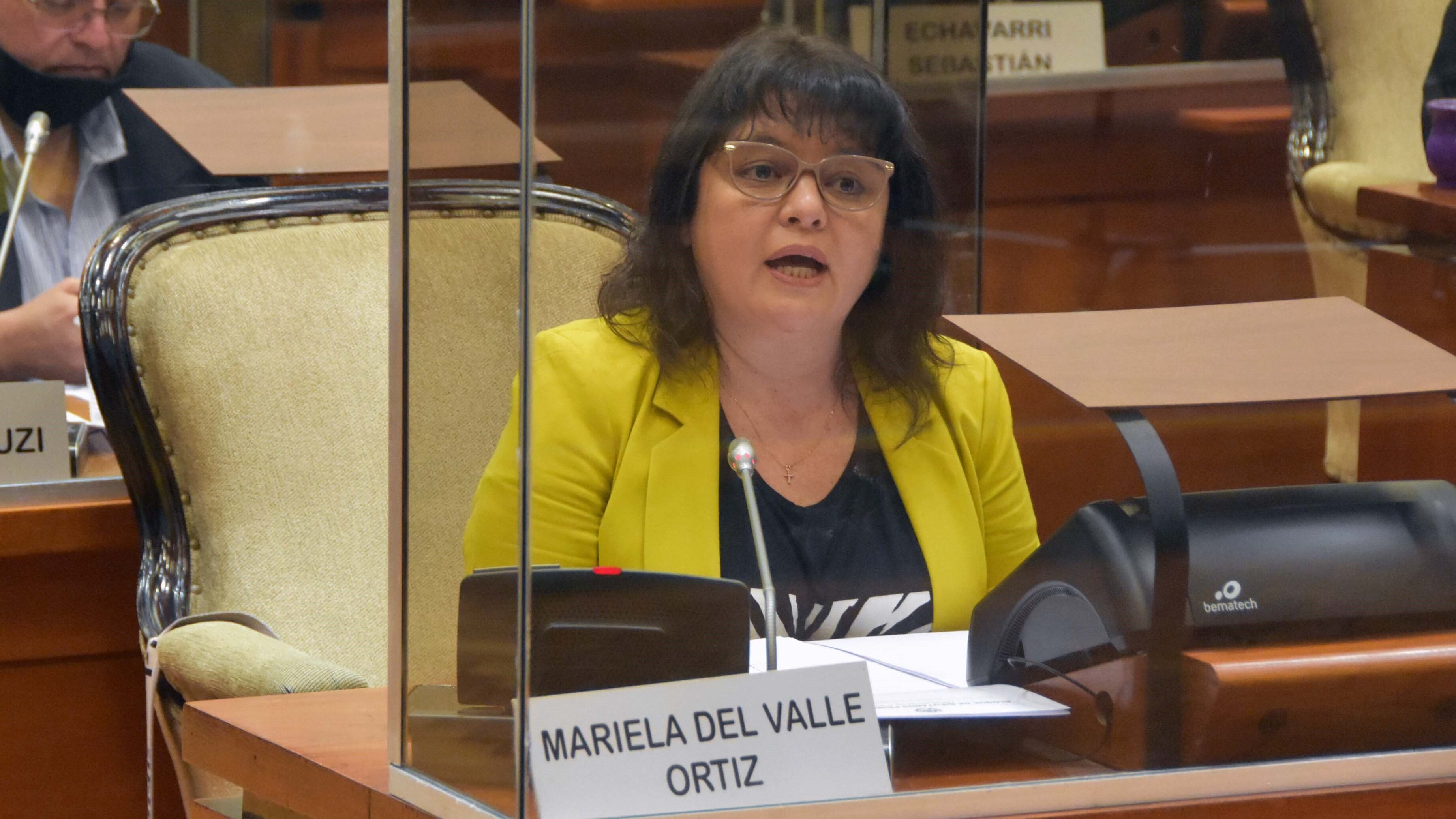 La diputada Mariela Ortiz preside la Comisión de Cultura y Turismo de la Legislatura de Jujuy.