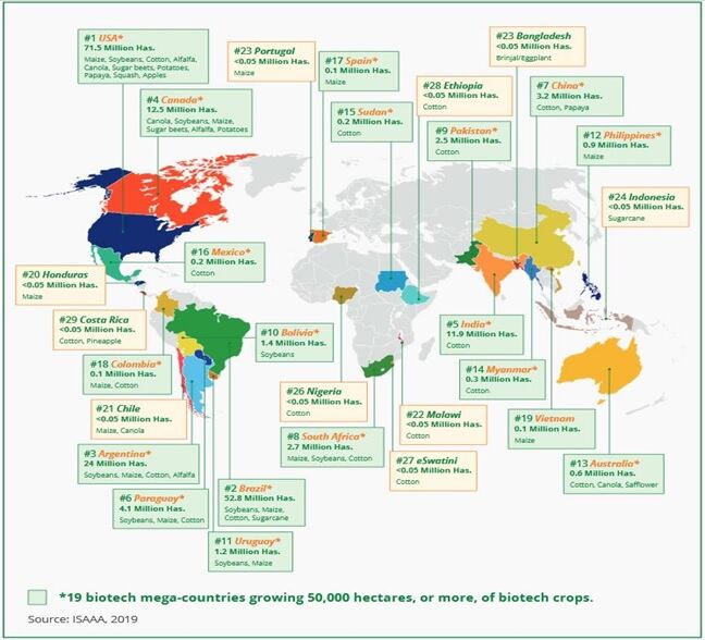 Distribución del uso de cultivos biotecnológicos