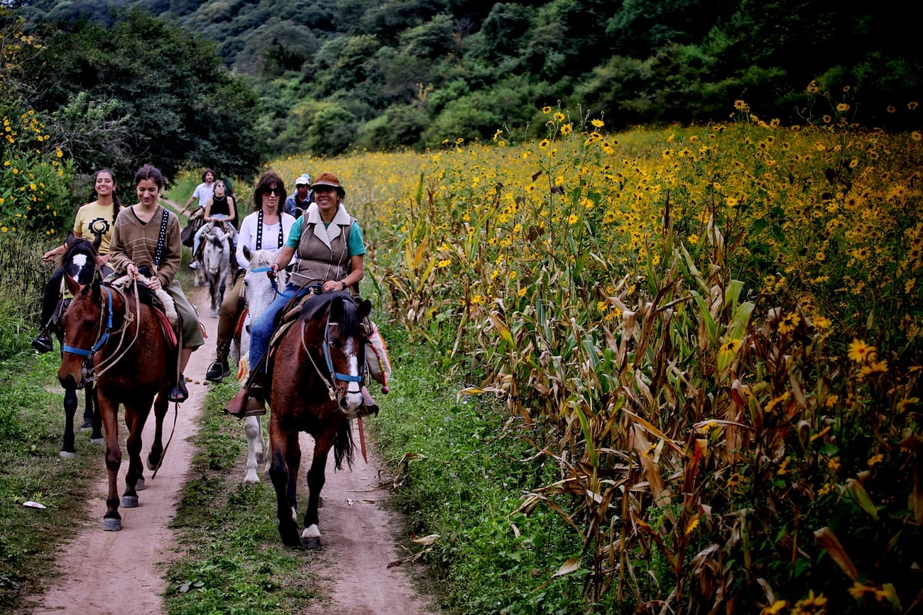 Cabalgatas guiadas en Tucumán. (Gentileza: Ente Tucumán Turismo/Gerardo Iratchet)