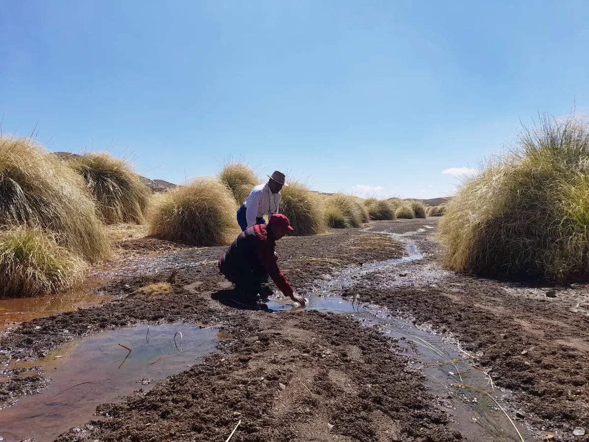 Capacitan a comunidades jujeñas en cuidado del agua y control de calidad