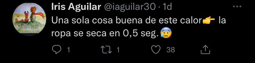 El calor se siente en Mendoza y quienes viven en la provincia tenían mucho que decir.