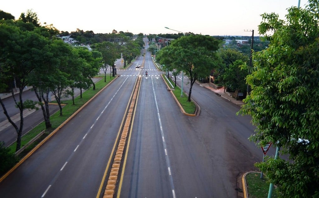 Instalan señalética vial en Leandro N. Alem.