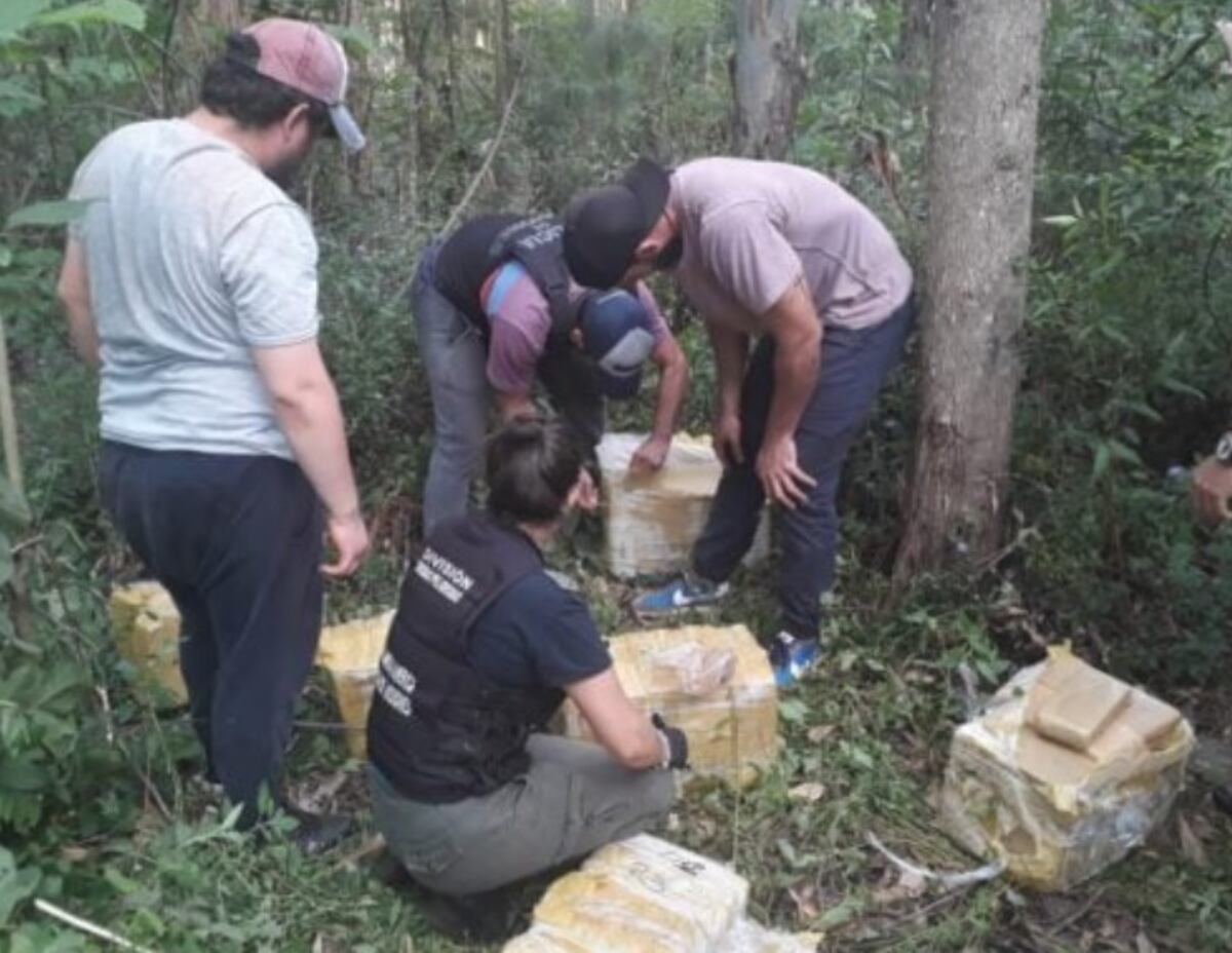 General Urquiza: secuestran carga de marihuana oculta en una zona de monte