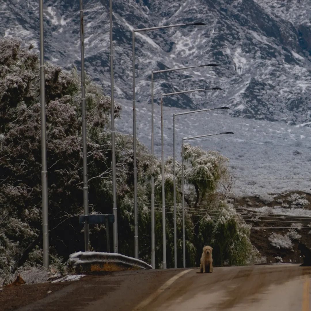 Mirá las espectaculares postales de Jáchal cubierto de nieve que se volvieron virales