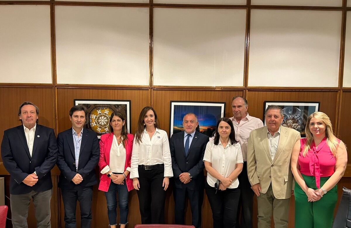 Villarruel con senadores del PRO. (Clarín)