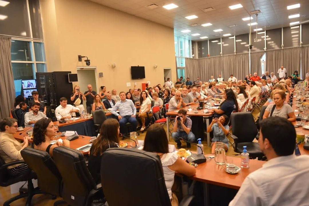 Audiencia pública en Diputados.