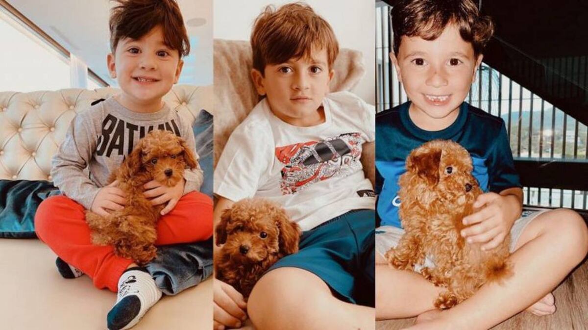 Abú, el perrito de Antonela Roccuzzo y Lionel Messi, ahora tiene acento francés