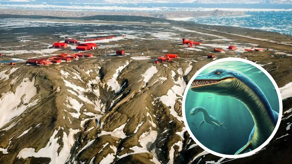 Increíble hallazgo en Patagonia: encontraron restos fósiles de un nuevo dinosaurio