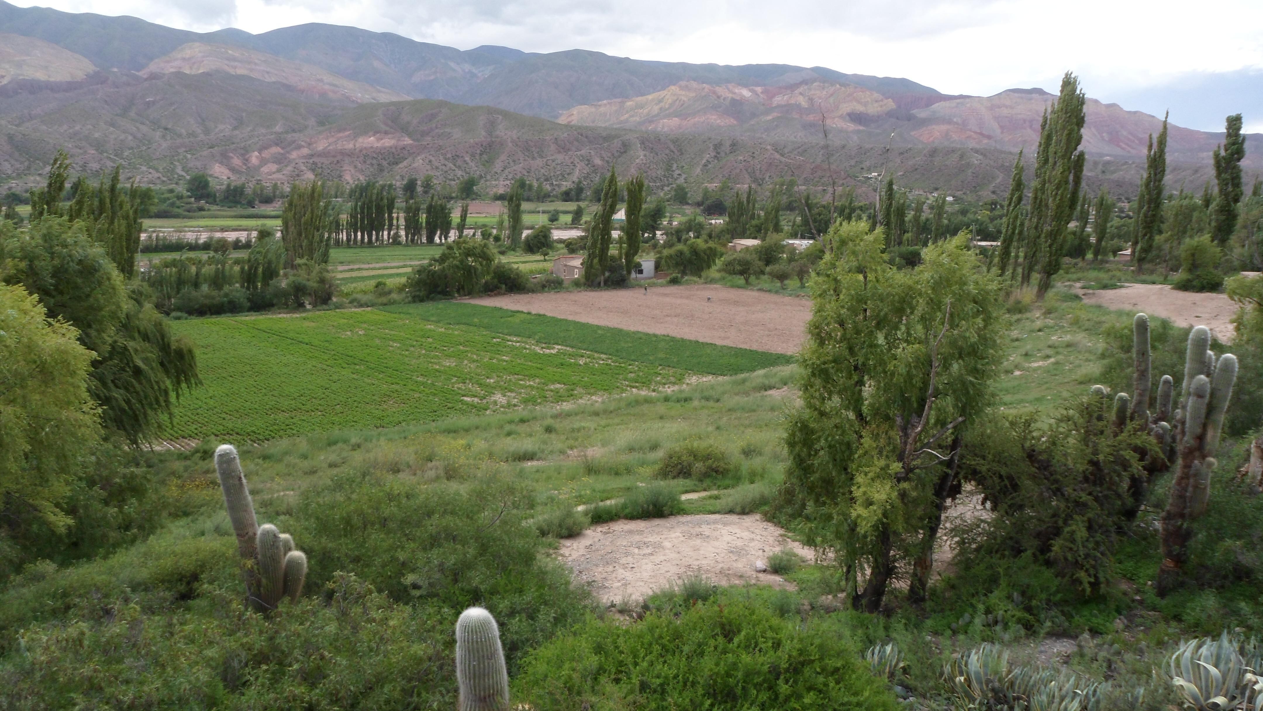 El ámbito rural en la Quebrada de Humahuaca, una singular oportunidad  para vivenciar la cultura de sus pueblos.