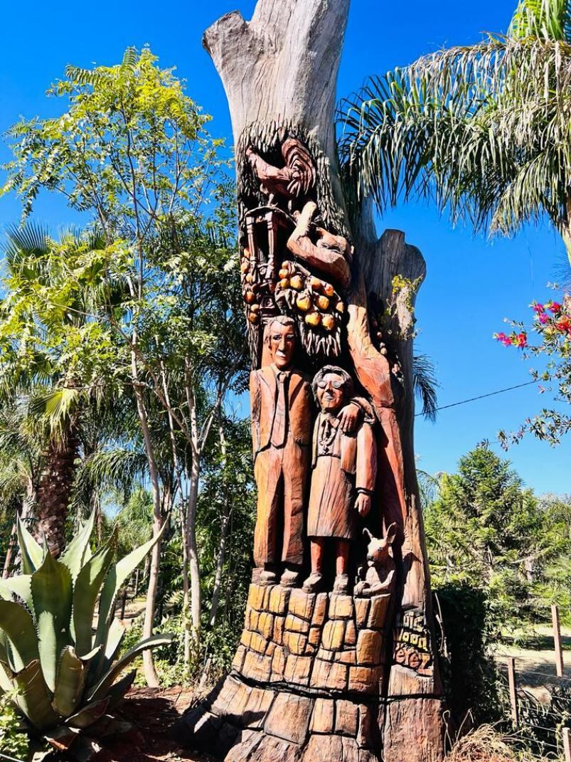 El árbol tallado en Almafuerte.