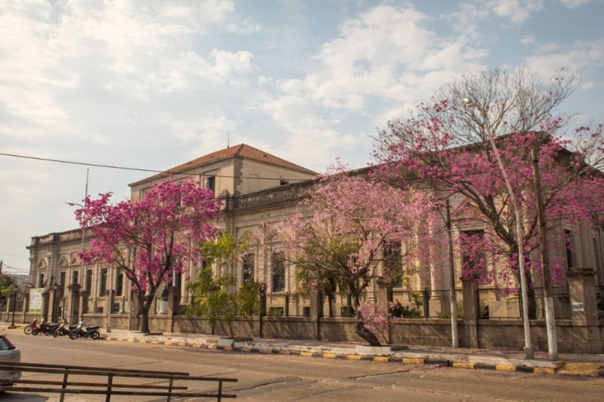 Violencia en una escuela de Corrientes: era su cumpleaños y sus compañeros lo dejaron con traumatismo de tórax