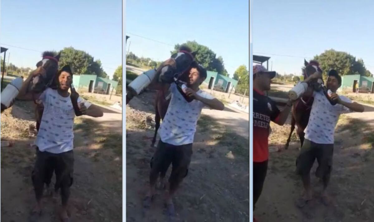 Se grabaron mientras intentaban darle cerveza a un caballo antes de una carrera ilegal