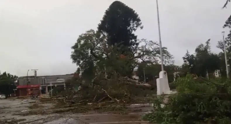 La ciudad completa se quedó sin servicio.