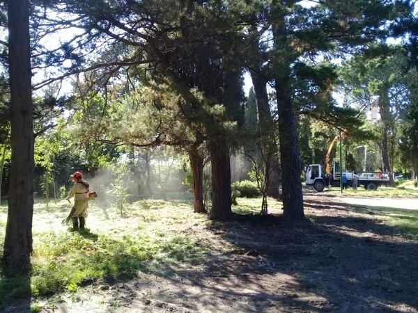 Hallan un feto humano en el Parque Miedan (foto: Archivo La Voz del Pueblo)