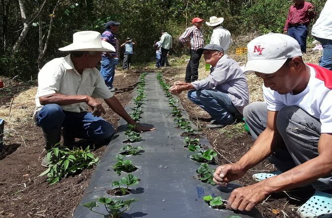 Eldorado será una de las sedes en las que se presentará el programa Potenciando Mentores.