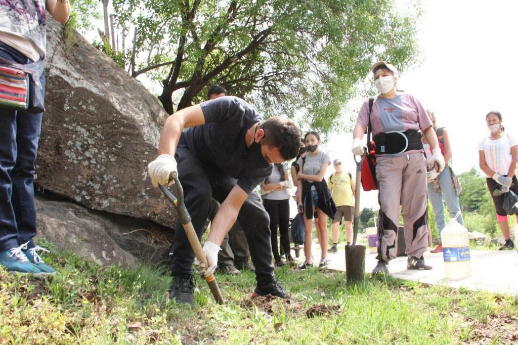 Voluntarios plantaron nativas en cinco diferentes sectores del Parque.