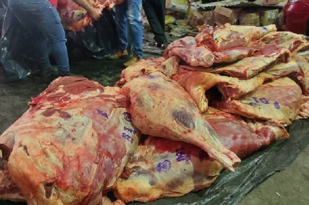 Decomisan seis toneladas de carne faenada trasladada desde Puerto Iguazú hacia Paraguay.