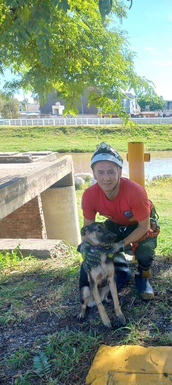 El rescate del animal en barrio San Vicente.