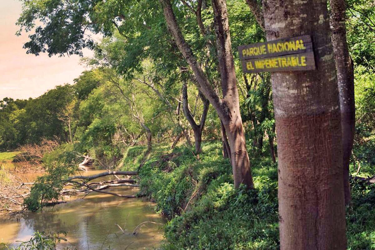 Se encuentran en ejecución el emplazamiento de dos muelles sobre el río Bermejito, y dos miradores para la observación de aves dentro del Parque Nacional El Impenetrable.