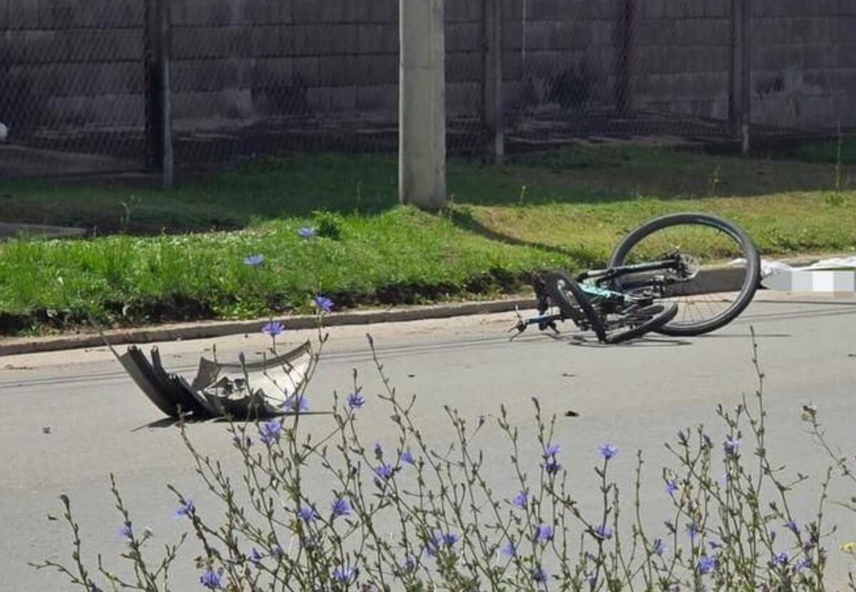 Se entregó el automovilista que atropelló y mató a una joven ciclista en Córdoba