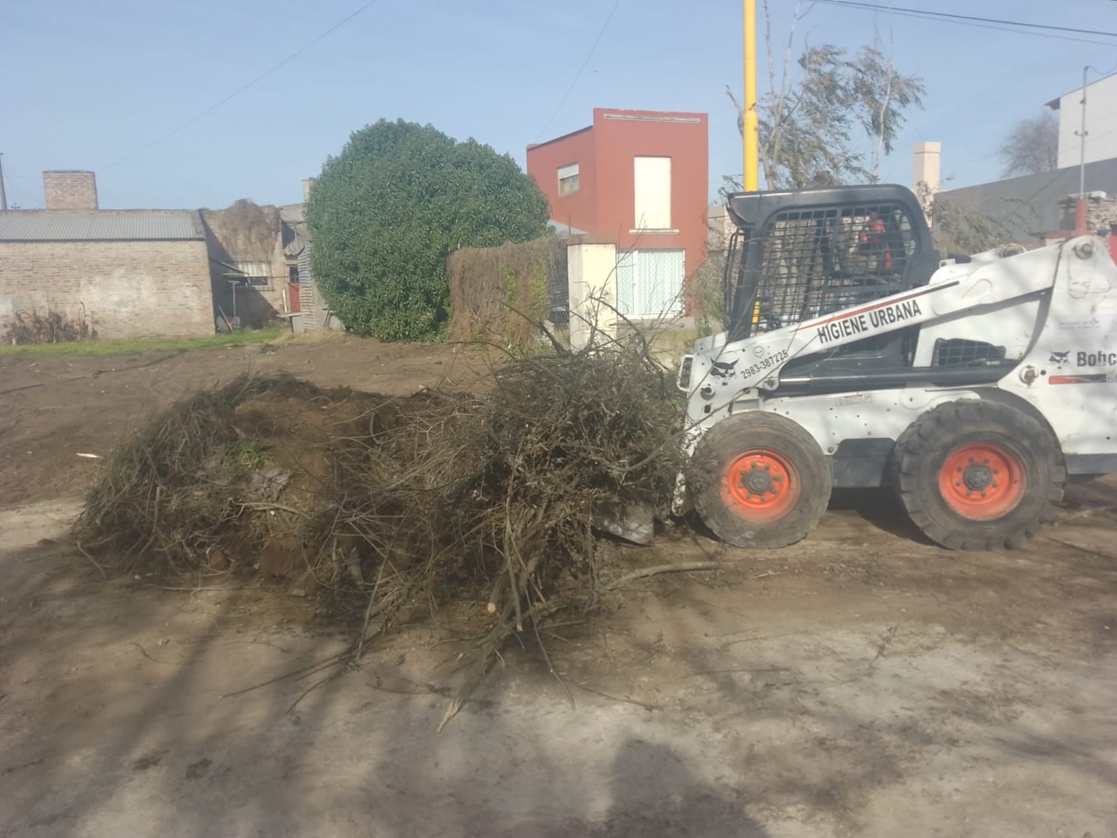 Tres Arroyos: Gestión Ambiental trabajó en la limpieza de basurales clandestinos