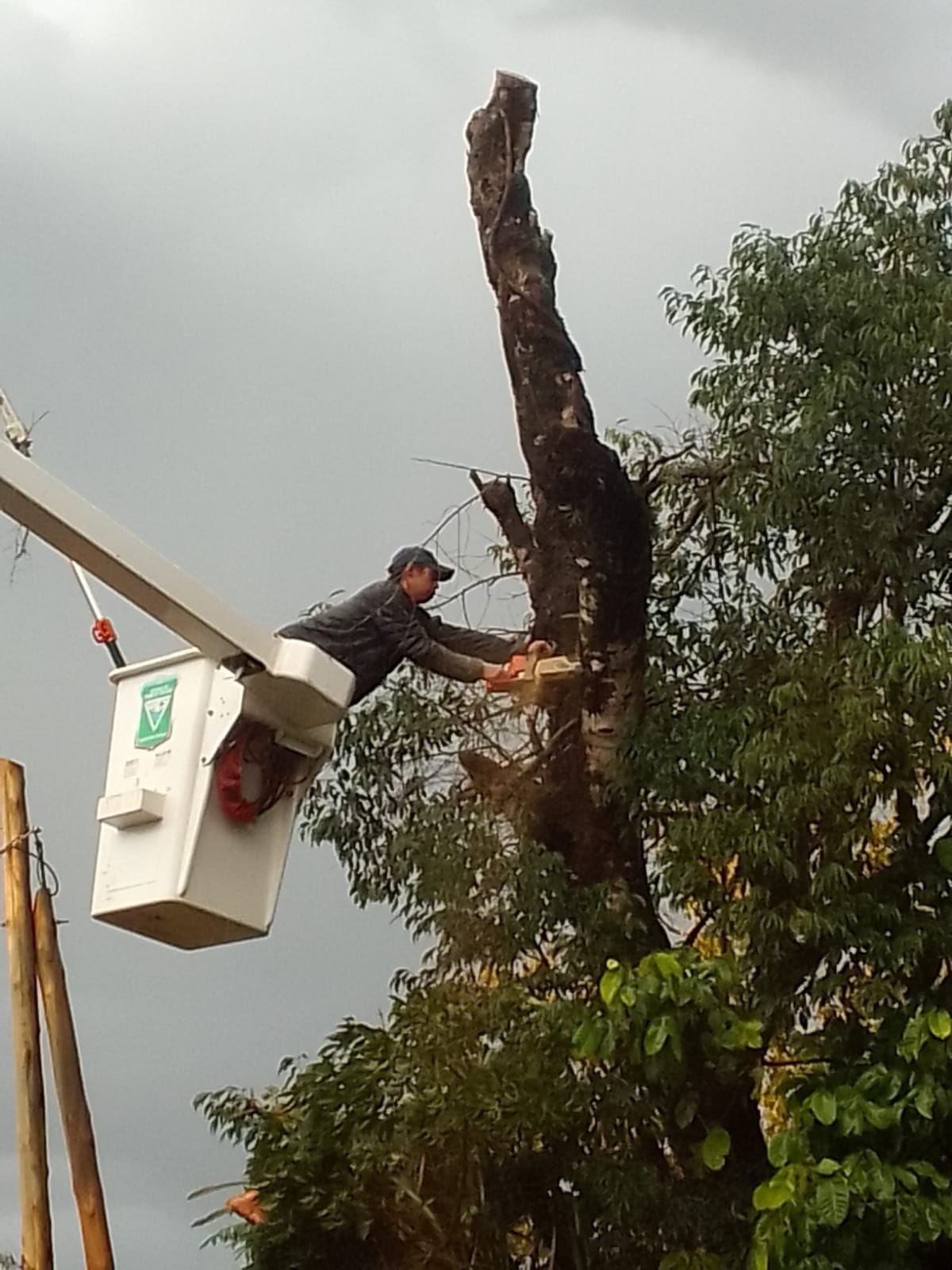 Puerto Iguazú: realizaron operativo de limpieza a causa de las intensas lluvias.