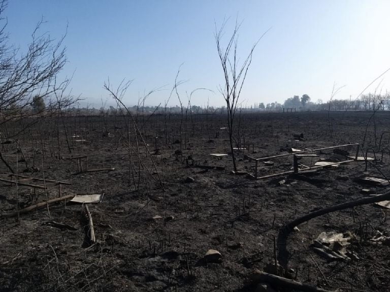 La zona donde Oscar Ábrego tenía sus colmenas quedó totalmente devastada por el fuego.