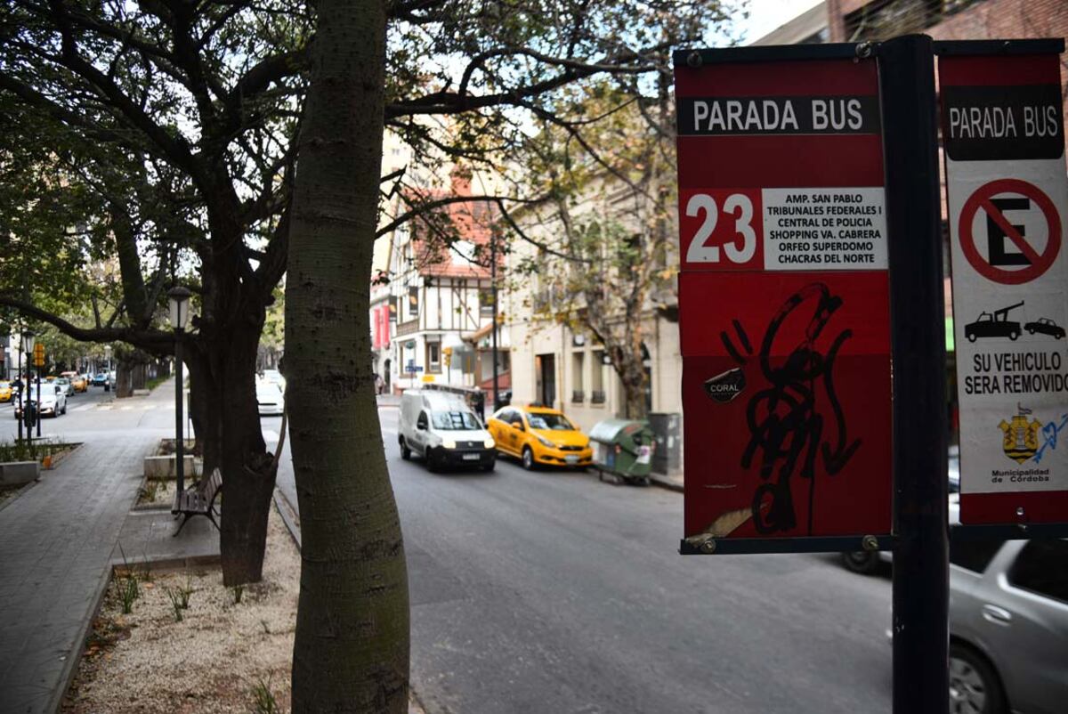Transporte en Córdoba: recorridos, horarios y líneas de los colectivos urbanos y trolebuses