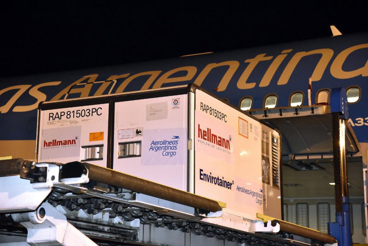 Vacunación: llegaron más de un millón de dosis de Sinopharm y Astrazeneca, y vendrán más esta semana