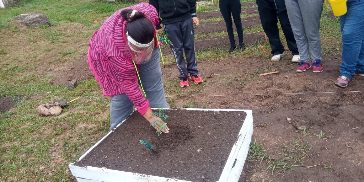 Huerta en el hogar de día "Villa Alegre".