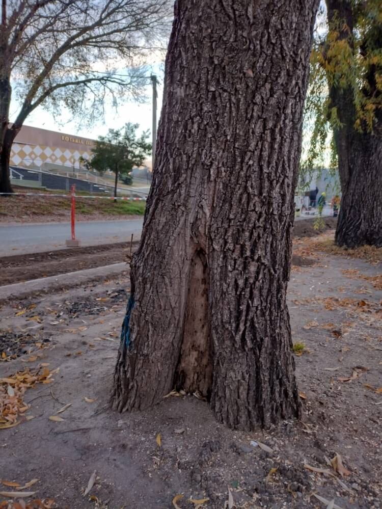 Reformas en la costanera de Mina Clavero