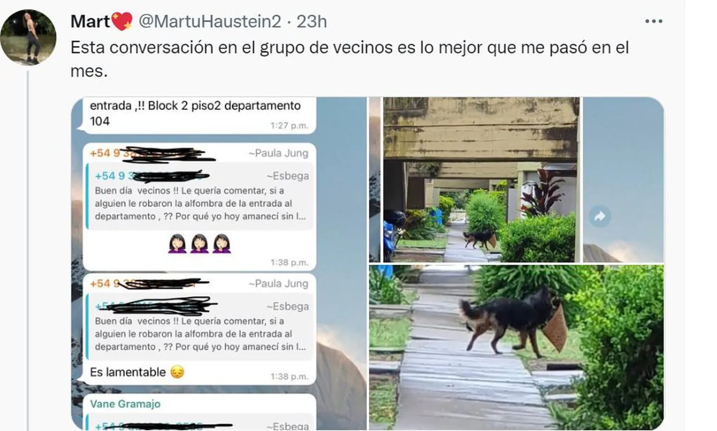 Su historia se volvió viral. Foto: Twitter / @MartuHaustein2