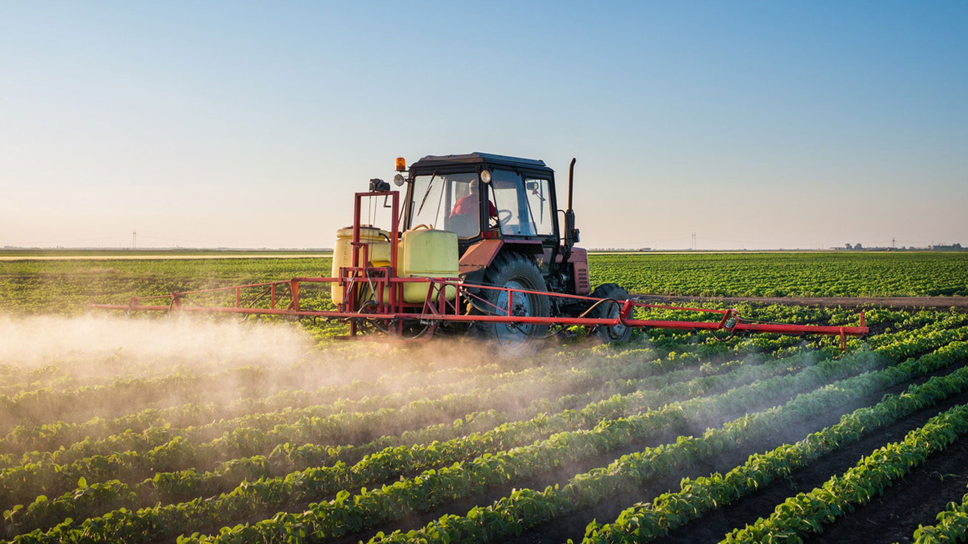 Fumigaciones controladas con sus inoculantes