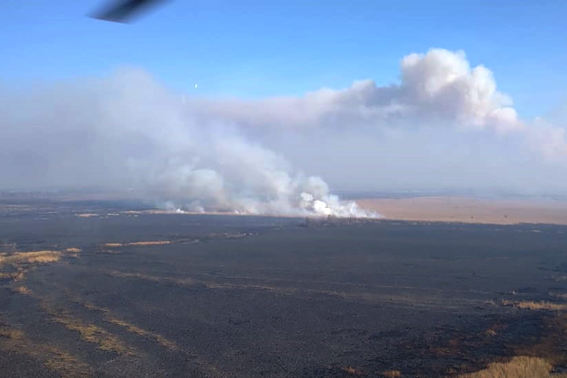 Bomberos y Brigadistas Entre Ríos