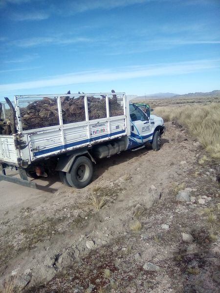 Entrega de leña por conservación