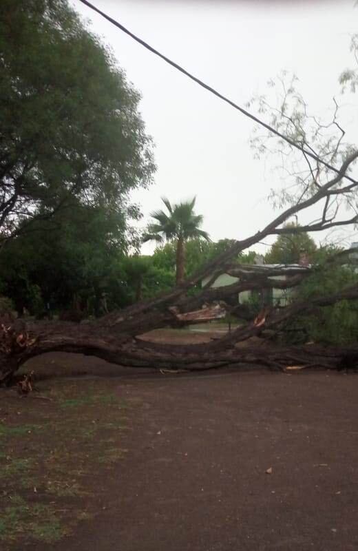 Viento, lluvia y granizo provocaron daños en distintas zonas de San Rafael. Gentileza 