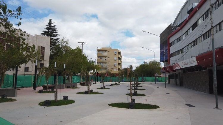 El patio de las palmeras.