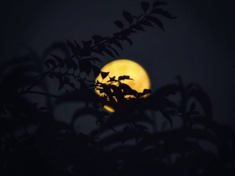 Superluna en Córdoba, las primeras fotos del fenómeno ocurrido este lunes 18 de febrero. (Fotos @marcecandu)