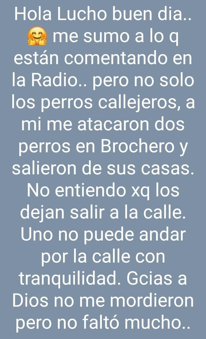 Problema de los perros de la calle