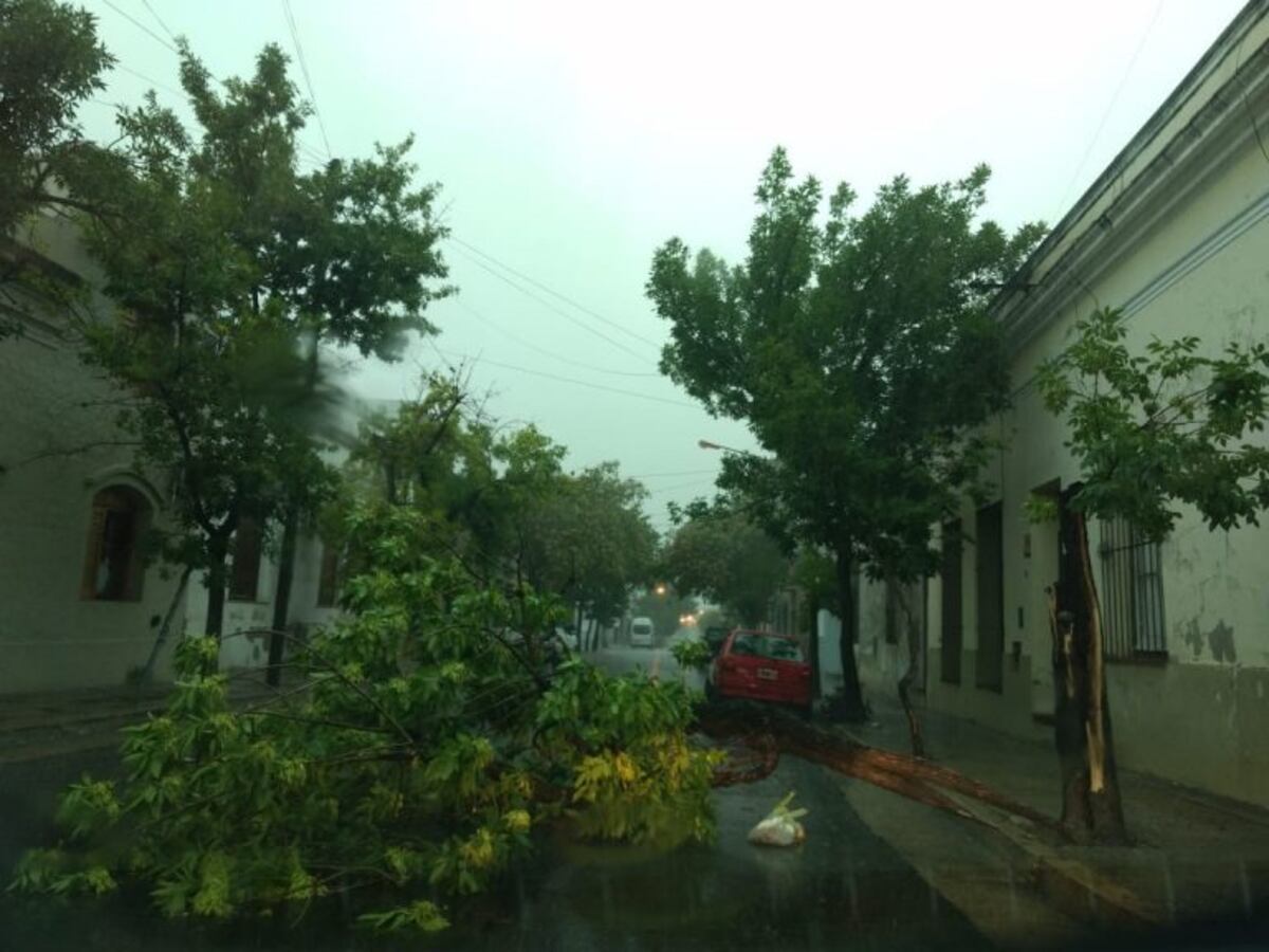 Un fuerte temporal azota la ciudad
