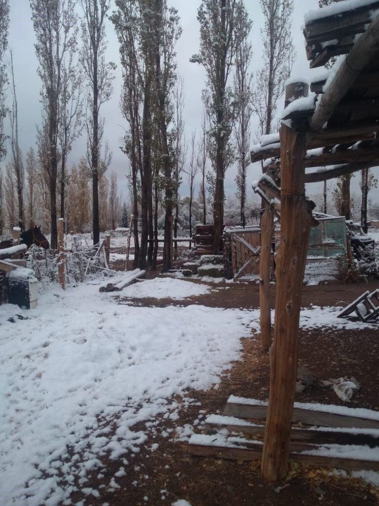 Varias zonas del departamento Iglesia, en San Juan, amanecieron nevadas.