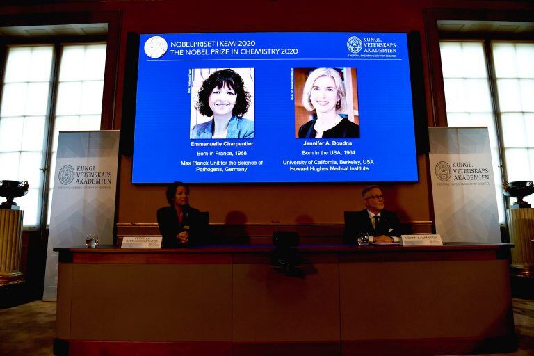 Nobel de Química para las inventoras de las tijeras de edición genética, Emmanuelle Charpentier y Jennifer A. Doudna "por el desarrollo de un método para la edición del genoma" (Henrik Montgomery/TT via AP)