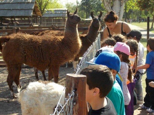 Perdieron a un chico en la granja de la infancia