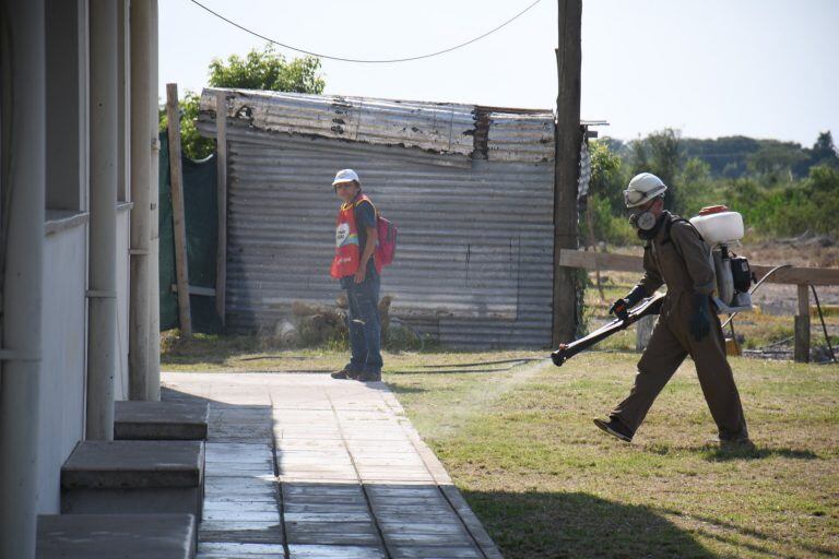 Se continúa con fumigando la Capital.